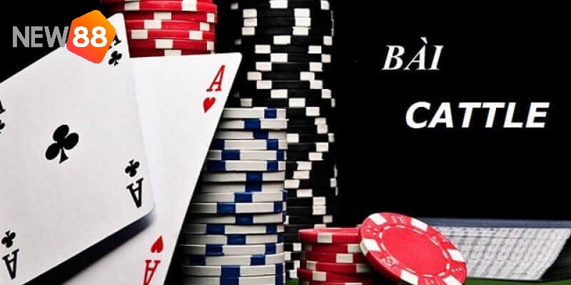 Cách Chơi Bài Catte Chuẩn Xác Nhất 2024 Bạn Nên Biết 2 Tổng quan cách chơi bài và định nghĩa về bài Catte